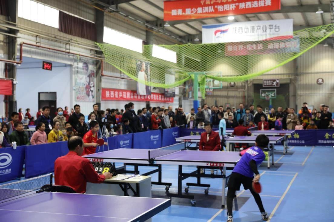 西部格局的 西部格局的